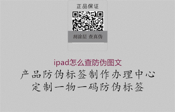 ipad怎么查防偽圖文1.jpg