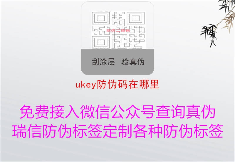 ukey防偽碼在哪里3.jpg