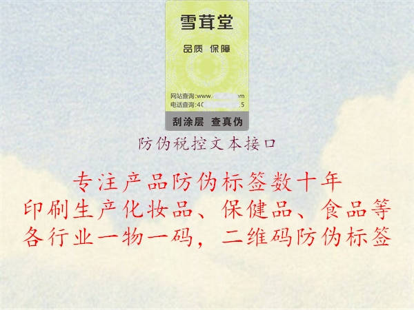 防偽稅控文本接口1.jpg